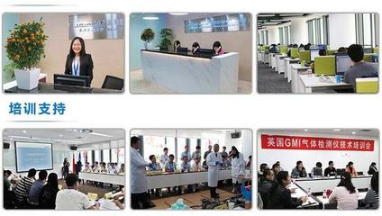 美國福祿克F319交直流數(shù)字鉗表 技術(shù)解析、選購指南與應(yīng)用場(chǎng)景