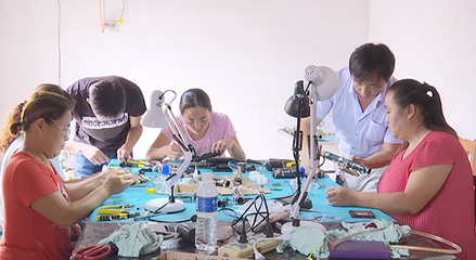 武強縣發揮黨建優勢 傾力打造鄉村振興&ldquo;周窩&rdquo;樣板